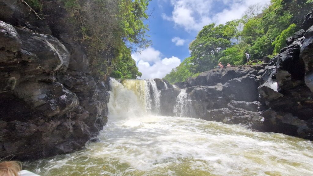 Summer Wings Cruise Grand River South East Waterfalls