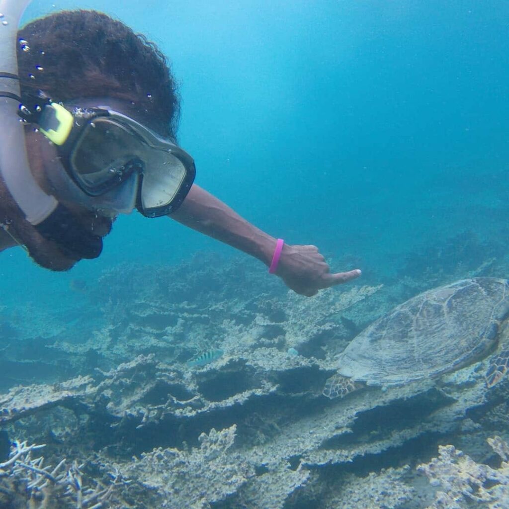 Summer Wings Cruise Snorkelling Blue Bay Marine Park